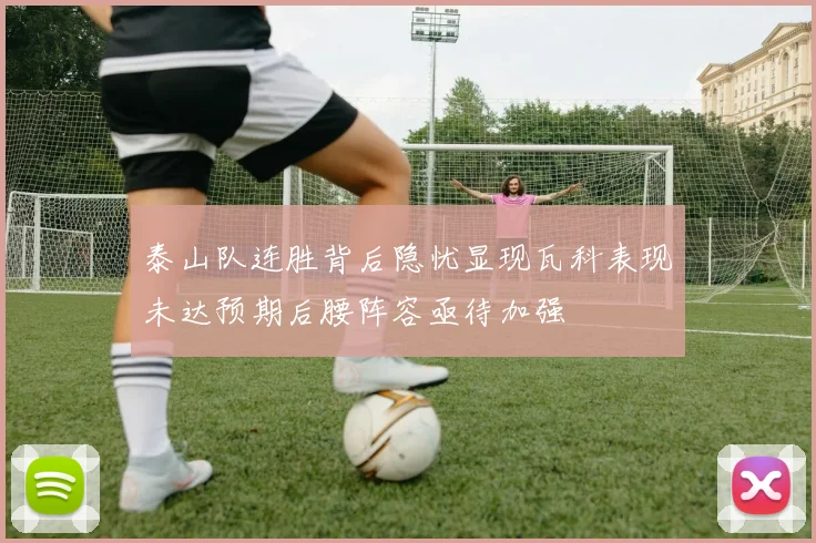 泰山队连胜背后隐忧显现瓦科表现未达预期后腰阵容亟待加强